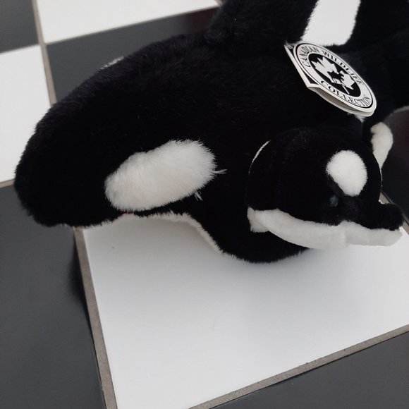 Whale - Picture 9 of 10